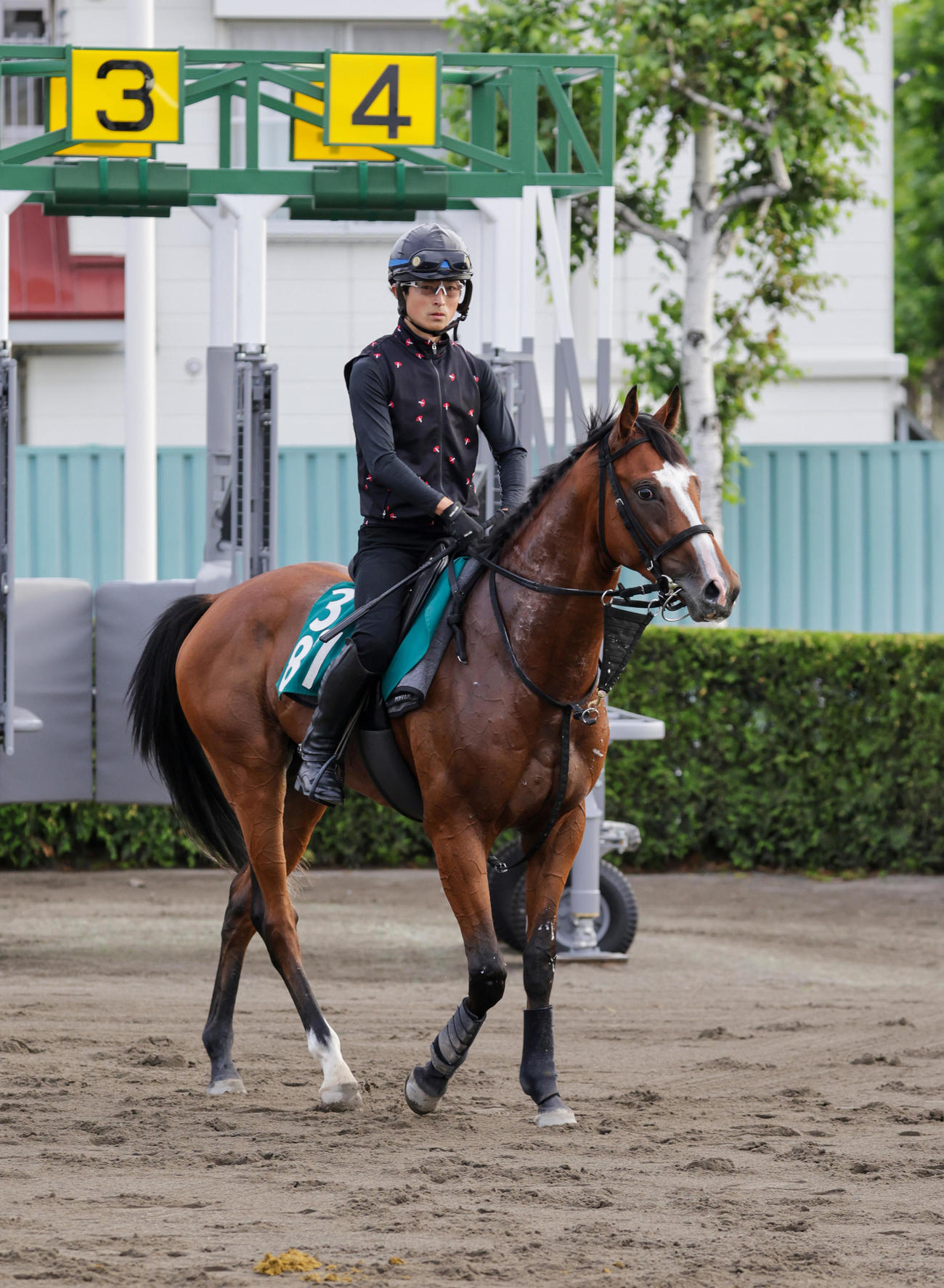 札幌競馬場で順調に調整されているブレイクボーイ
