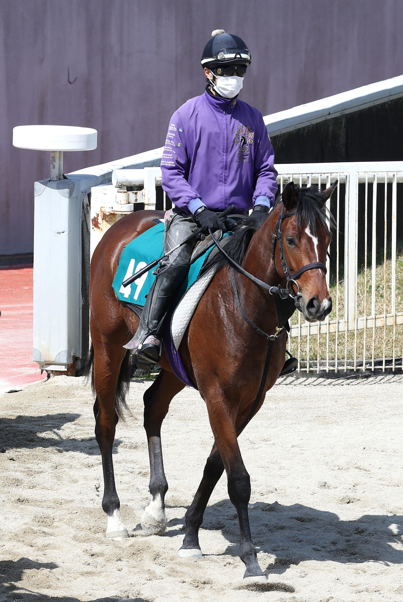 日曜新潟の2歳新馬戦でデビューするシャザーン