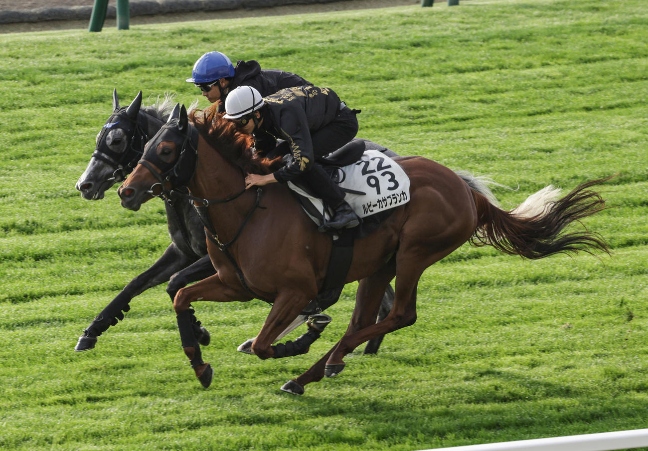 横山和生騎手を背に、札幌芝コースで併せ馬で追い切られたルビーカサブランカ（手前）