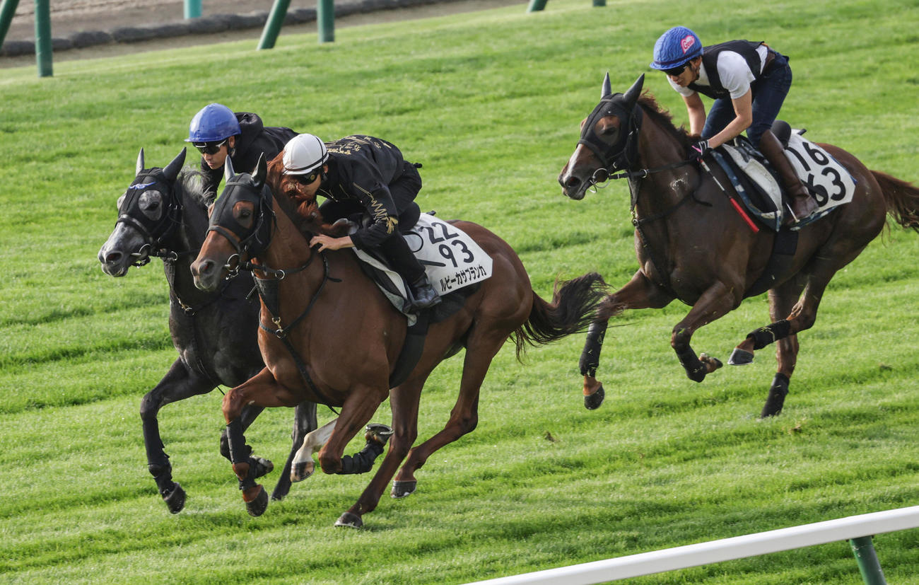 横山和生騎手を背に、札幌芝コースで併せ馬で追い切られたルビーカサブランカ（手前）