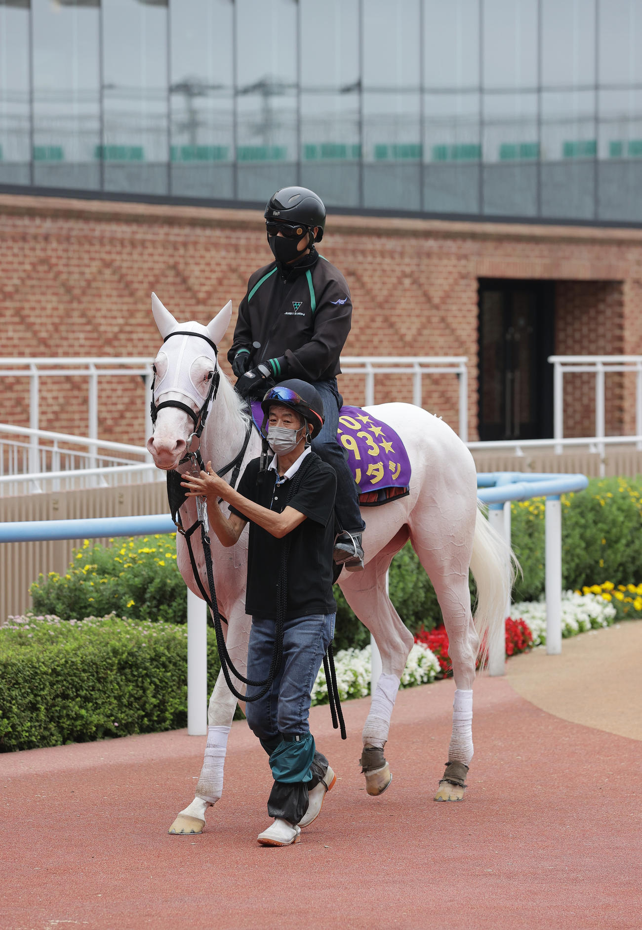 スクーリングで函館競馬場のパドックを周回するソダシ