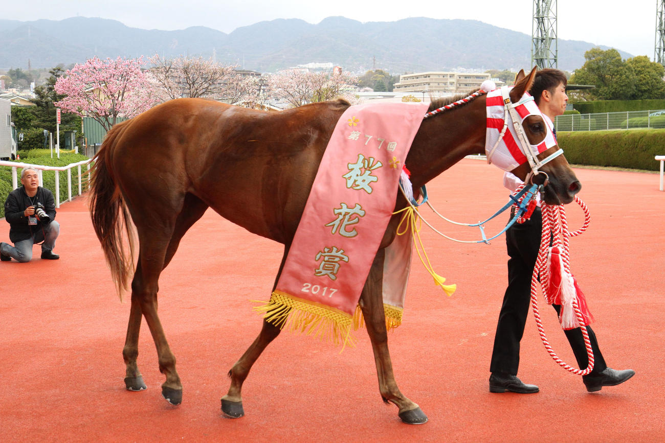 17年の桜花賞を制したレーヌミノル