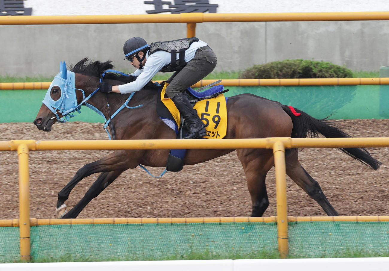 函館ウッドコースで追い切られたテルツェット