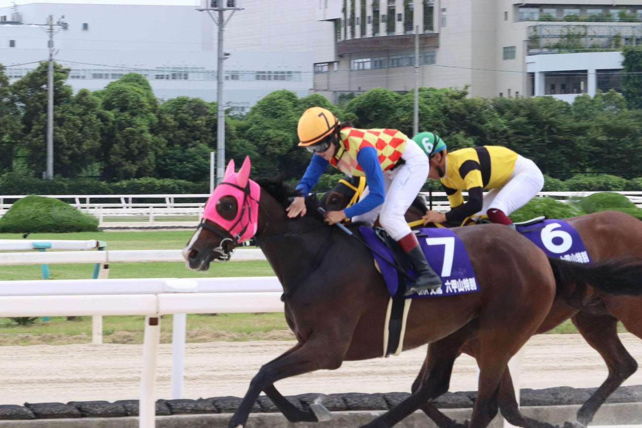 園田10R六甲山特別をテーオーティラミスで勝利した今村聖奈騎手