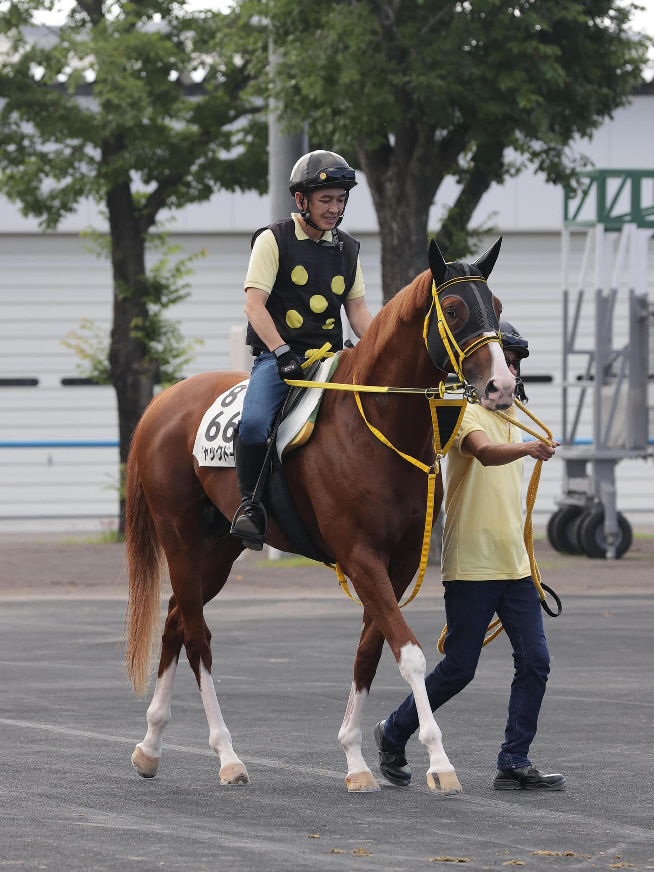 札幌記念出走に向け、函館競馬場入りしたジャックドール