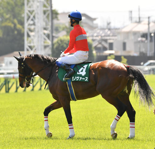 森一馬騎手 スピードを落とさず走るのが得意 新鋭ゼノヴァースと重賞ｖ目指す 新潟js 競馬写真ニュース 日刊スポーツ