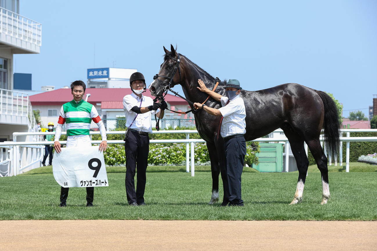 デビュー3戦目で初勝利を挙げたヴァンガーズハート（撮影・村野早祐）