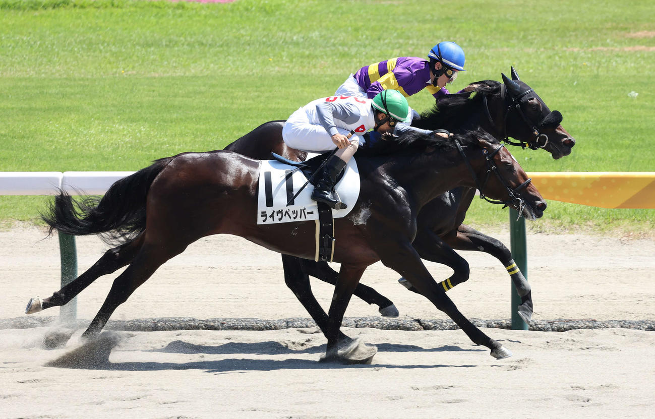 新潟6R、デビュー戦を制したニシキギミッチーと津村明秀騎手（奥）（撮影・丹羽敏通）
