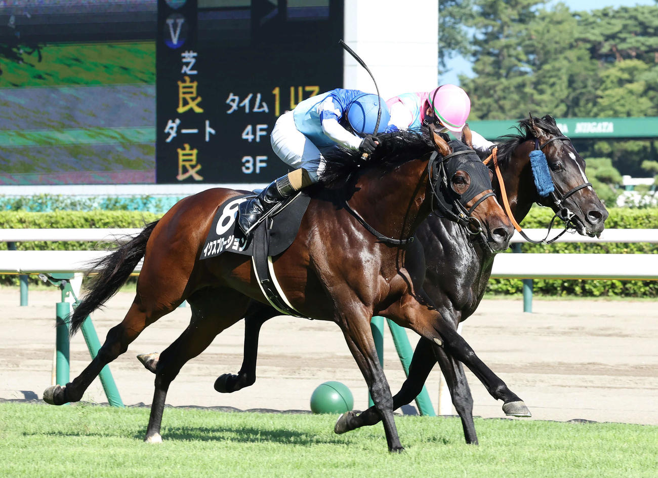 関越Sを制したイクスプロージョンと和田竜二騎手（左）（撮影・丹羽敏通）