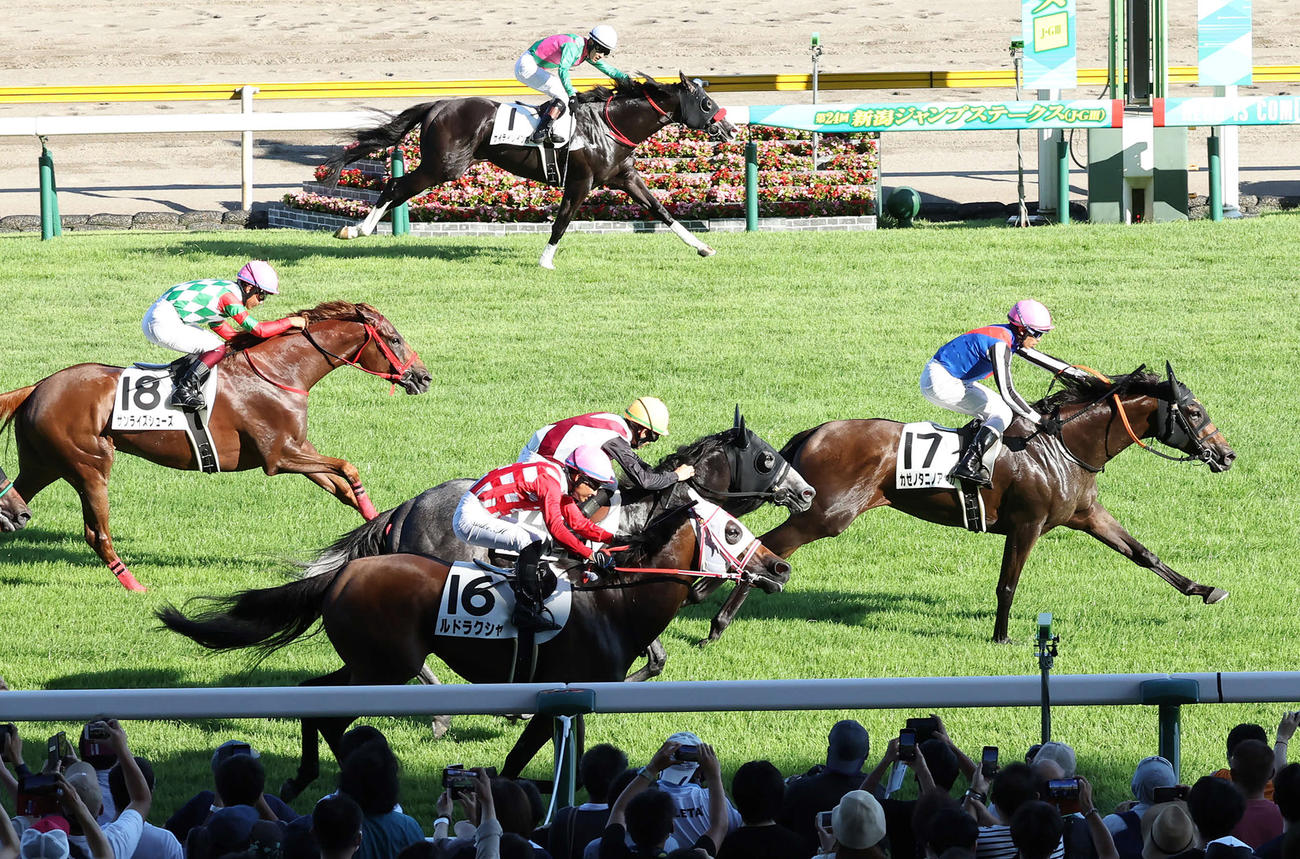 千直の新潟12Rで1頭だけ内ラチ沿いを走り4着に入ったケイティレインボー（上）（撮影・丹羽敏通）