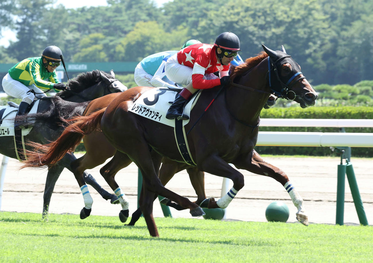 新潟3R、3歳未勝利戦を制したレッドアヴァンティとM・デムーロ騎手（撮影・丹羽敏通）