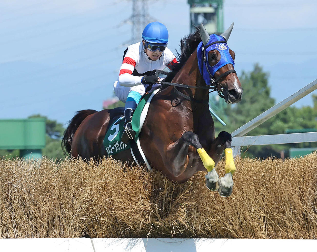 新潟JSを制したホッコーメヴィウスと黒岩騎手（撮影・丹羽敏通）