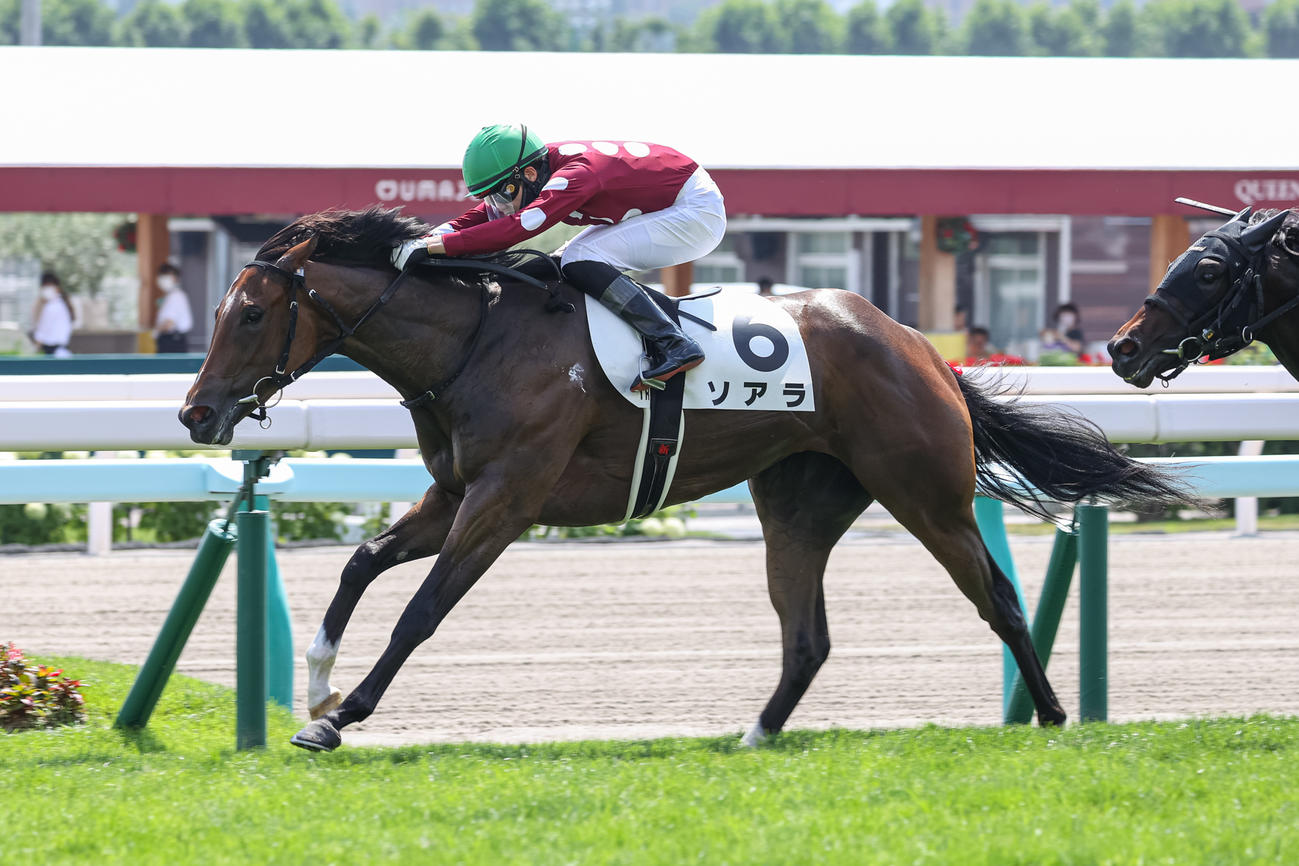 2歳未勝利を勝ち上がったソアラ（撮影・村野早祐）