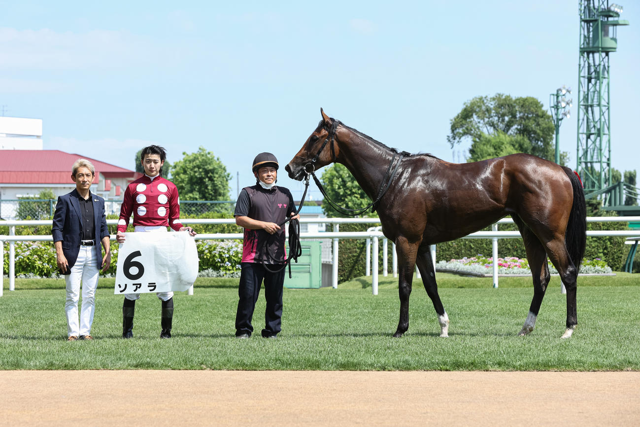 2歳未勝利を勝ち上がったソアラ（撮影・村野早祐）