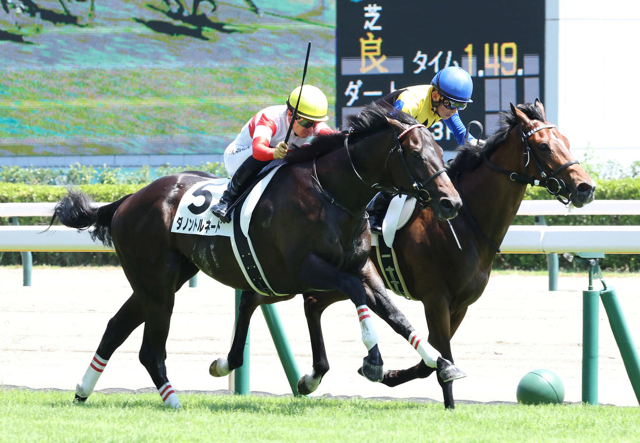 新潟5R、デビュー戦を制したダノントルネードと川田将雅騎手（手前）、2着のシャザーン（撮影・丹羽敏通）