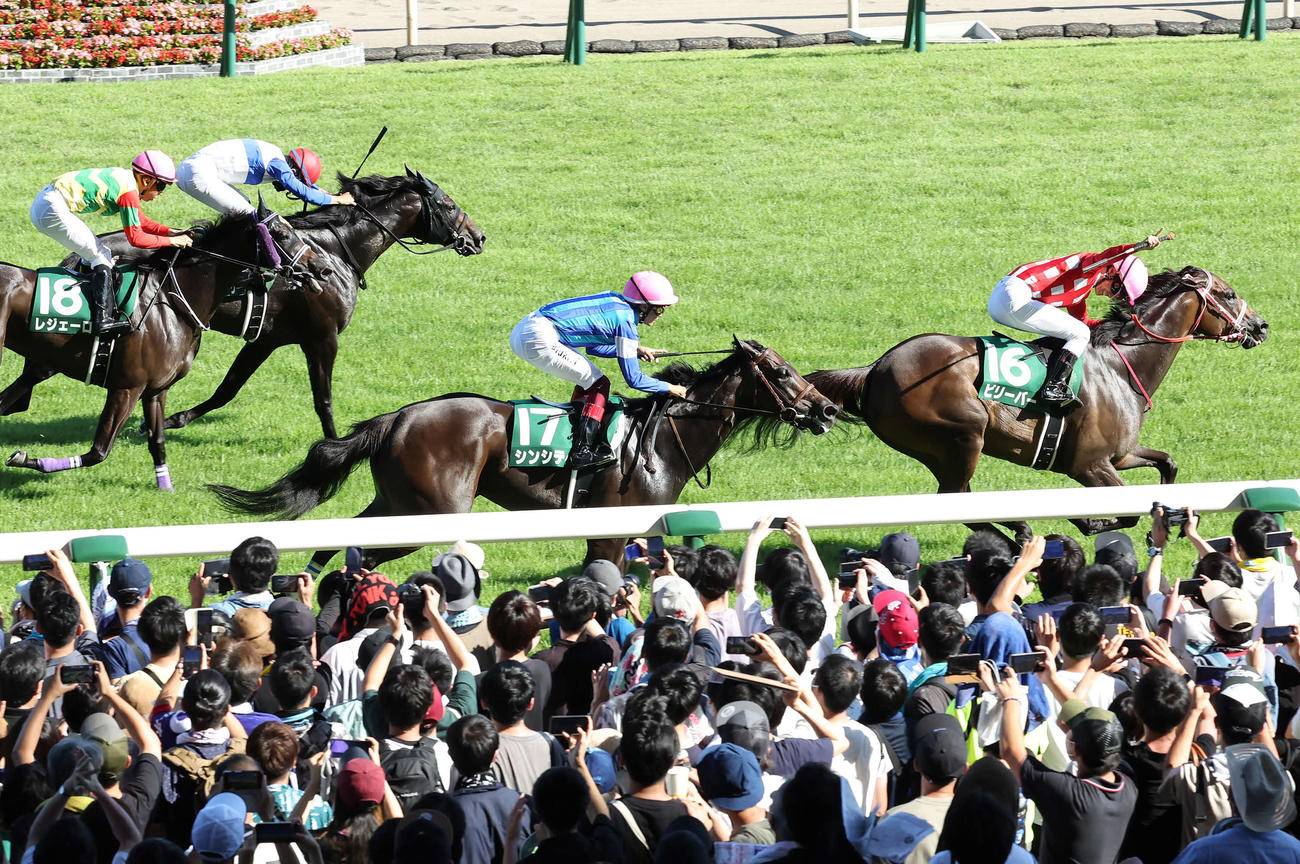 新潟11R、ビリーバー（右端）でアイビスSDを制したガッツポーズを決める杉原騎手（撮影・丹羽敏通）