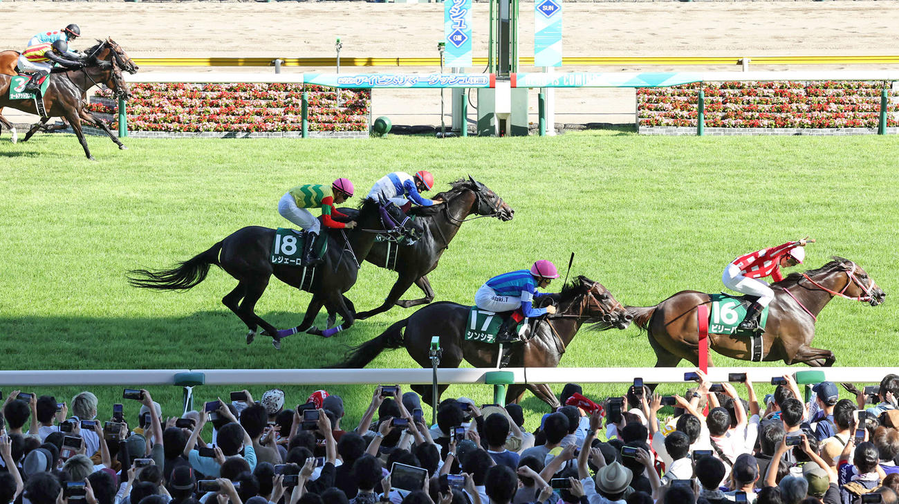 アイビスSDを制したビリーバー（右端）（撮影・丹羽敏通）