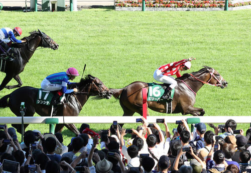 12年目杉原誠人騎手、ビリーバーで勝負の年に恩返しの重賞初V