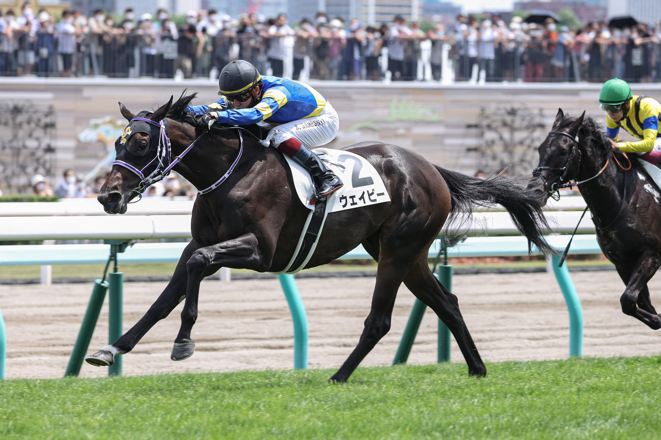 デビュー戦を制したウェイビー（撮影・村野早祐）
