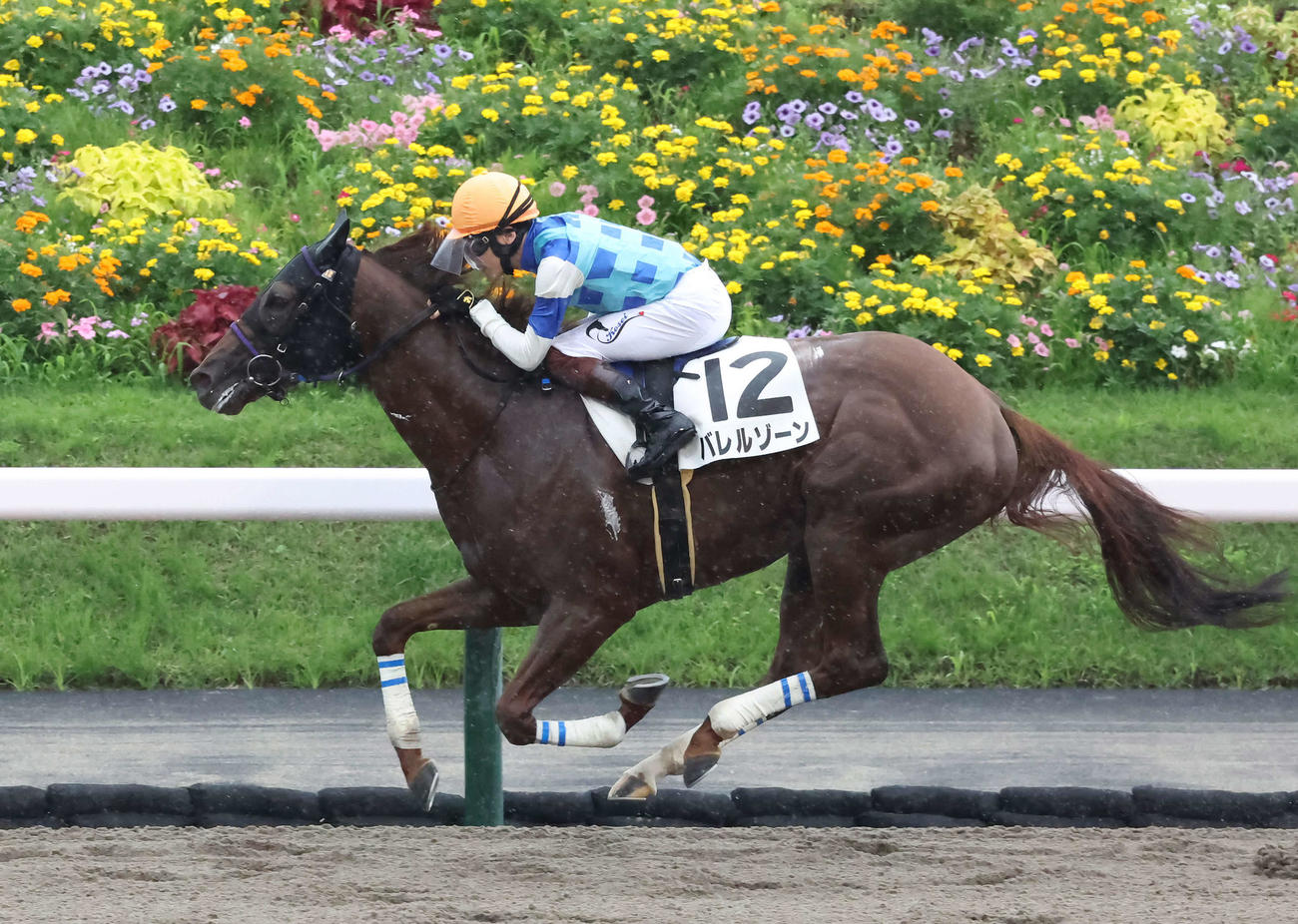 3歳上1勝クラスを制したバレルゾーン（2022年7月17日撮影）