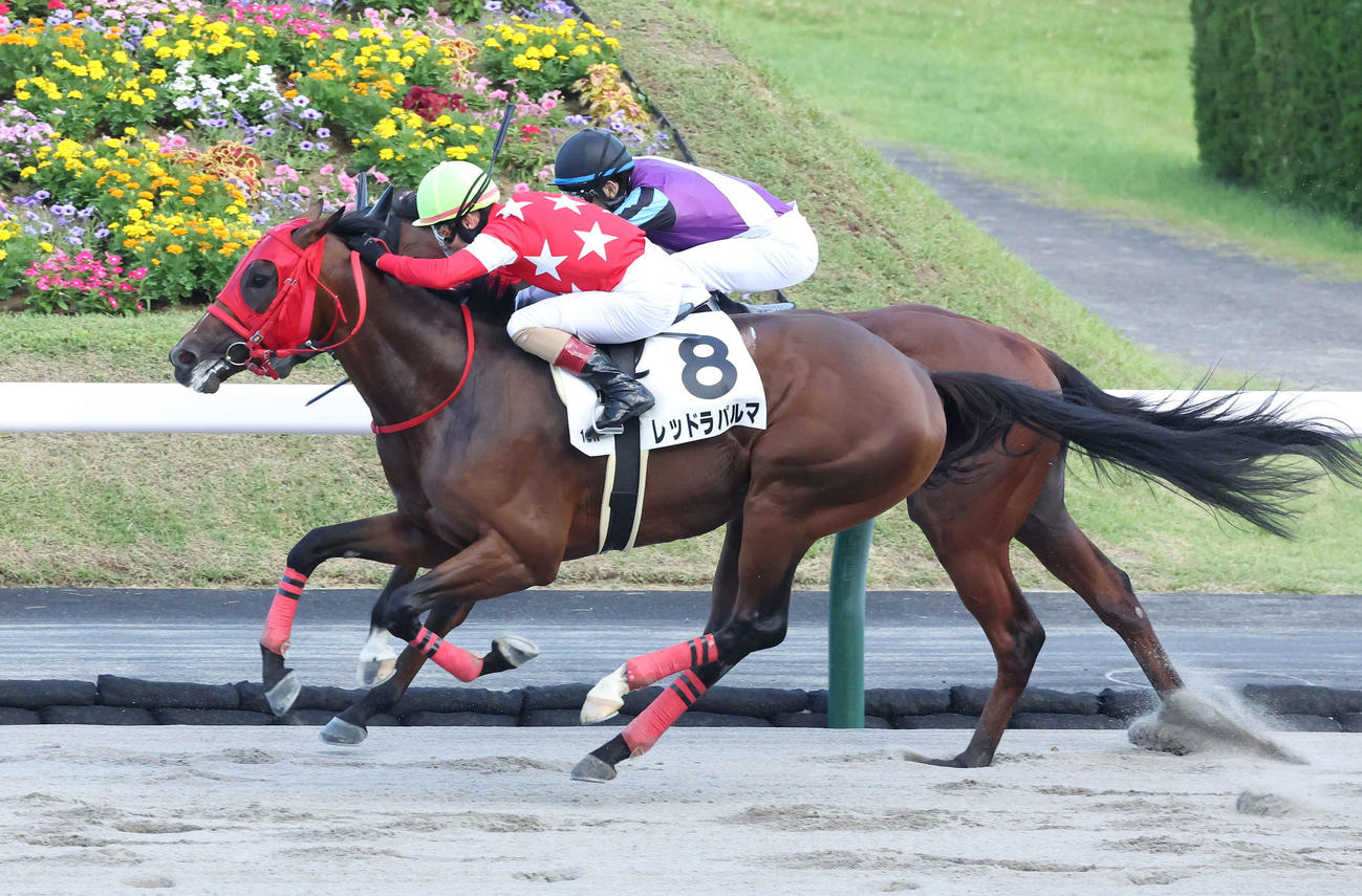 3歳上1勝クラスを制したレッドラパルマ（手前）（2022年7月2日撮影）