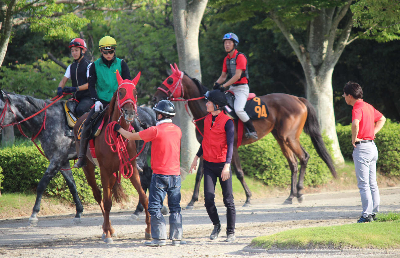 美浦で調教に騎乗した小牧加矢太騎手（左から2人目の黄色い帽子）（撮影・木南友輔）