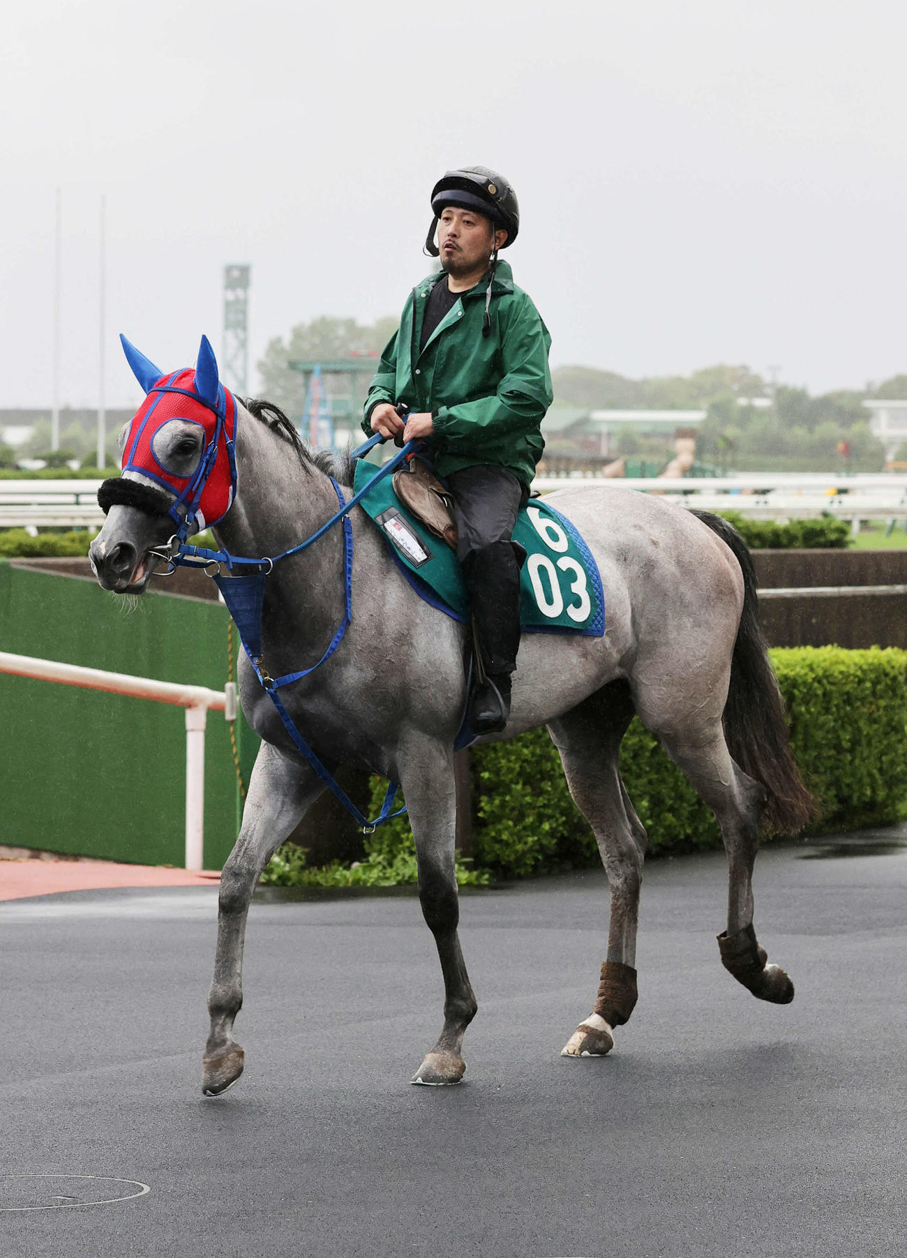 函館競馬場で順調な調整を積むメイショウネムノキ