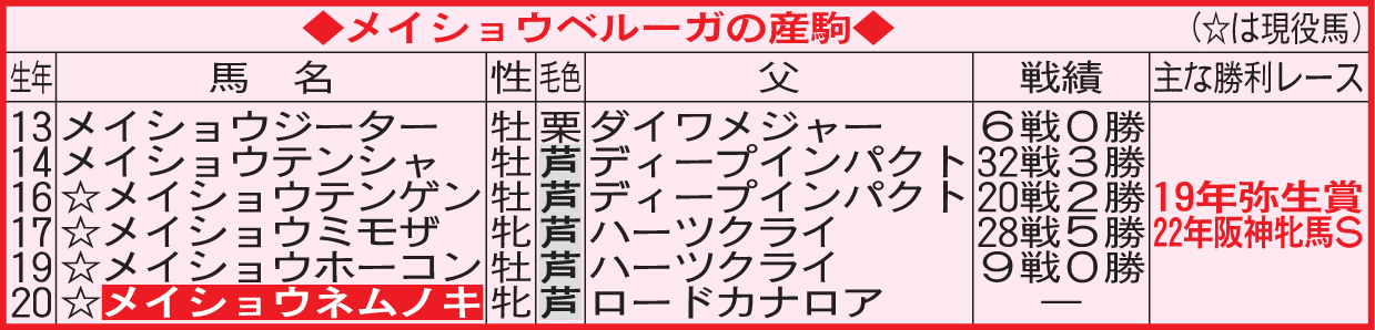 メイショウベルーガの産駒