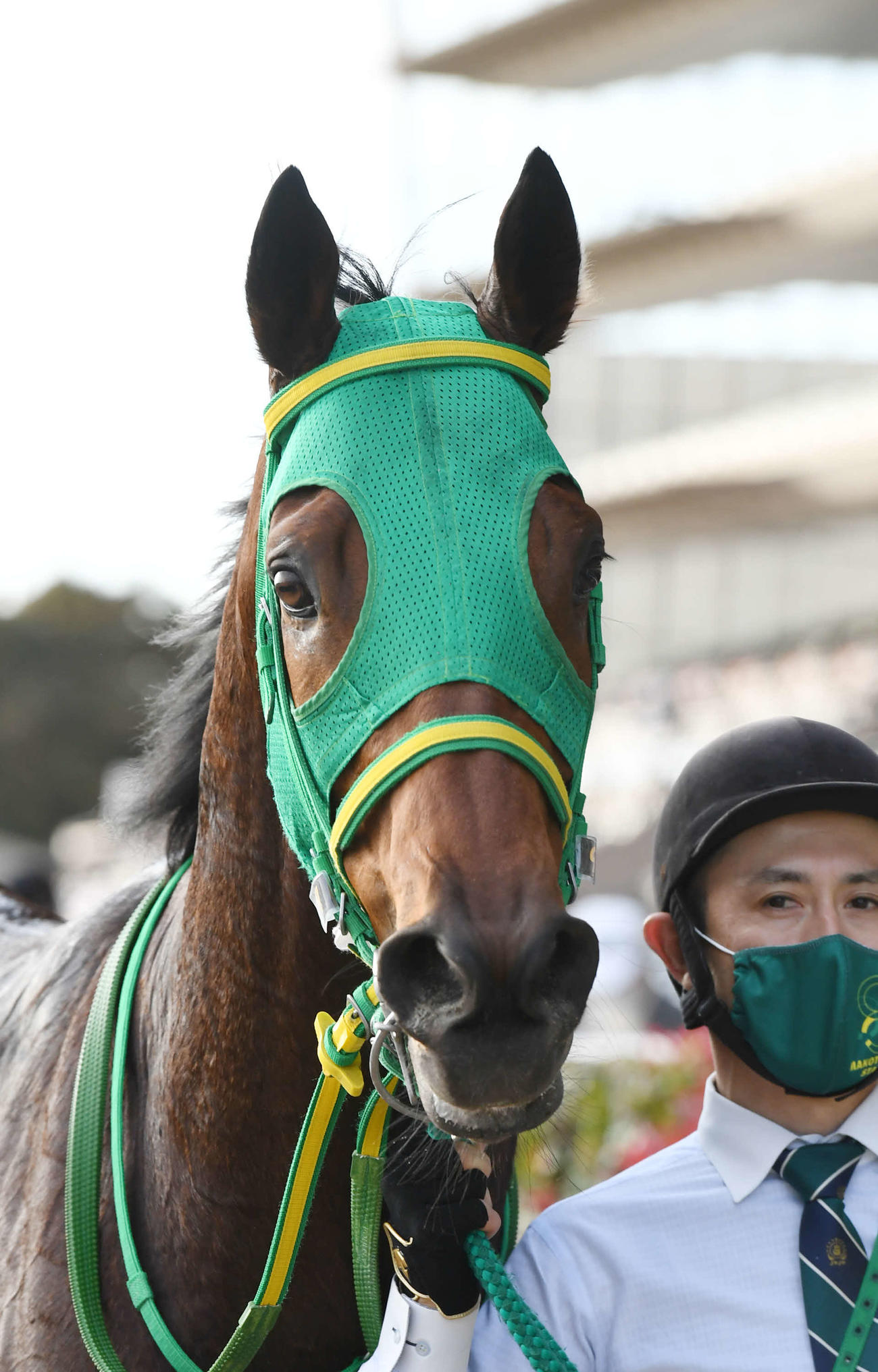 錦秋ステークスを快勝したフルデプスリーダー（21年11月7日撮影）