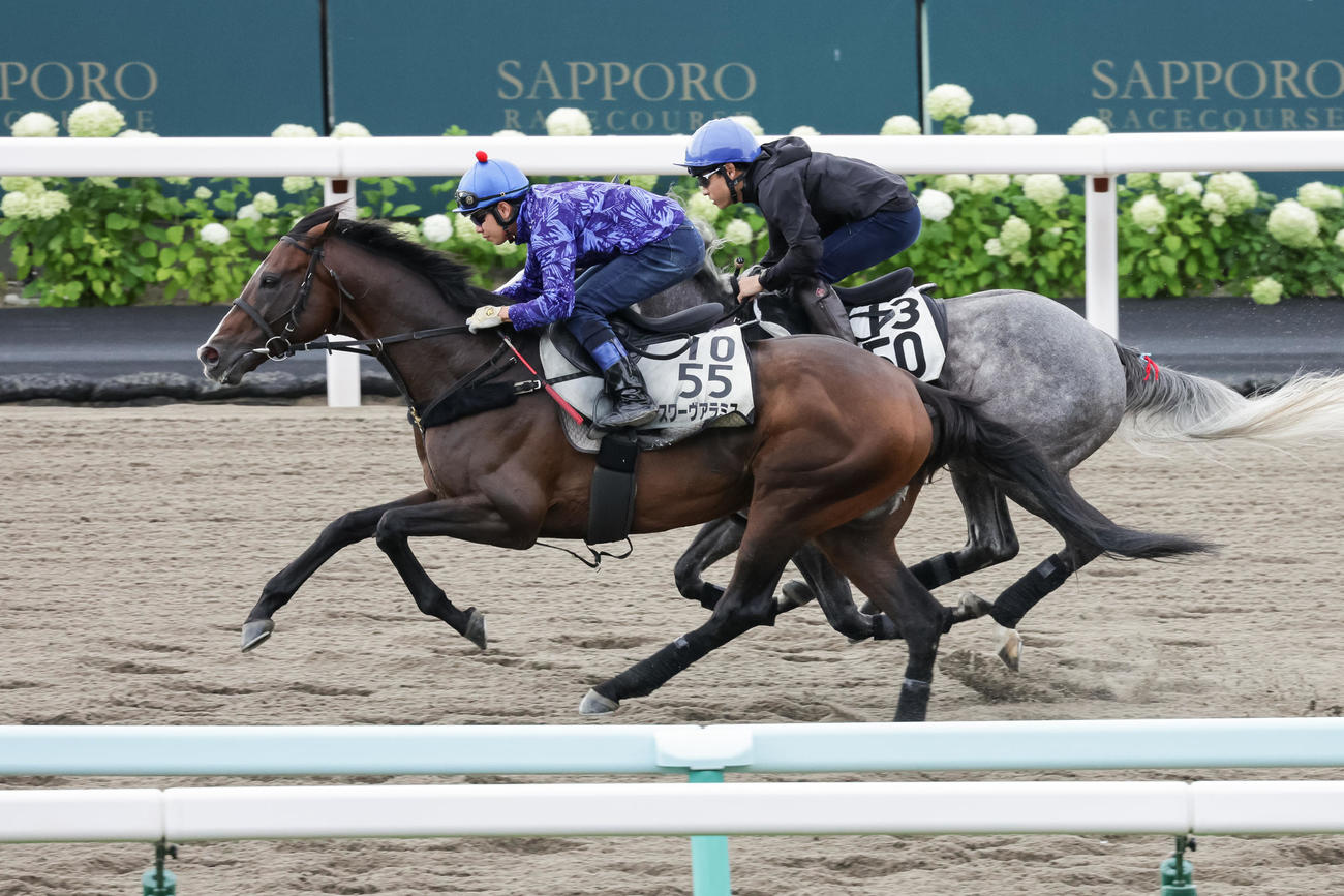 水口騎手を背に札幌ダートで追い切られるスワーヴアラミス（撮影・村野早祐）