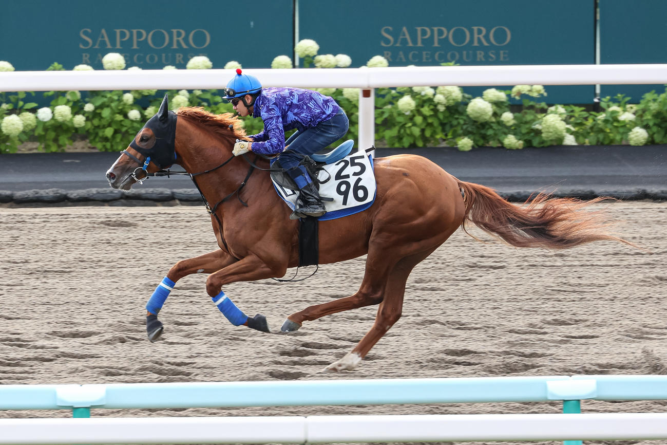 水口騎手を背に札幌ダートで追い切られるブラッティーキッド（撮影・村野早祐）