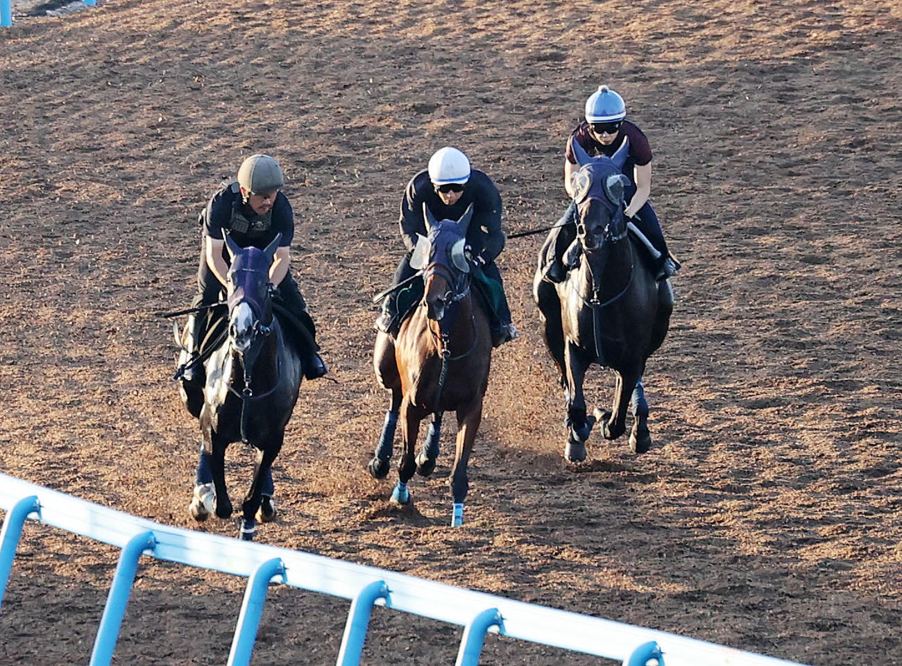 野中悠太郎騎手を背に美浦ウッドで追い切るラブパイロー（右）（撮影・鈴木正人）
