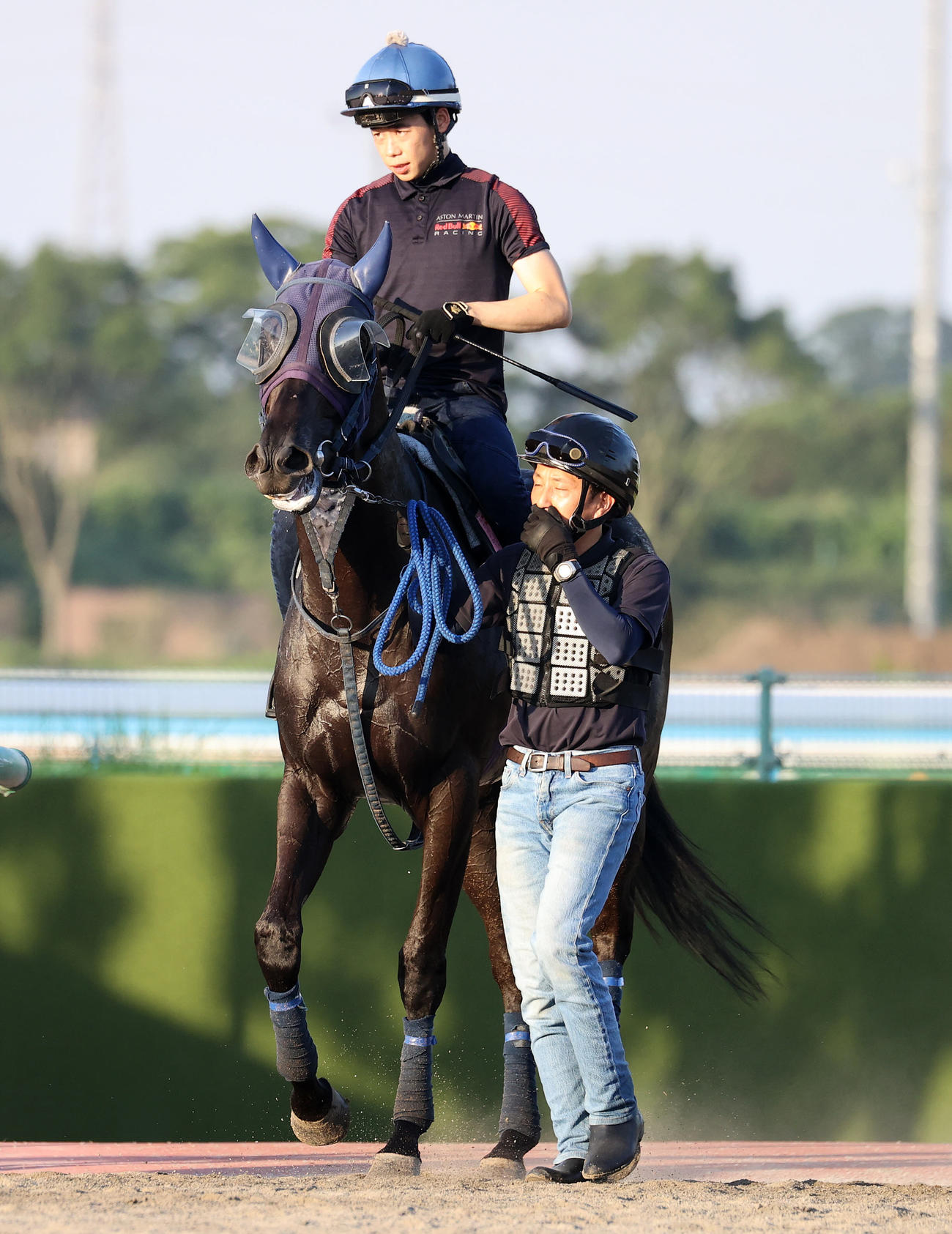 美浦ウッドで追い切りを終え、引き揚げるラブパイロー、鞍上は野中悠太郎騎手（撮影・鈴木正人）