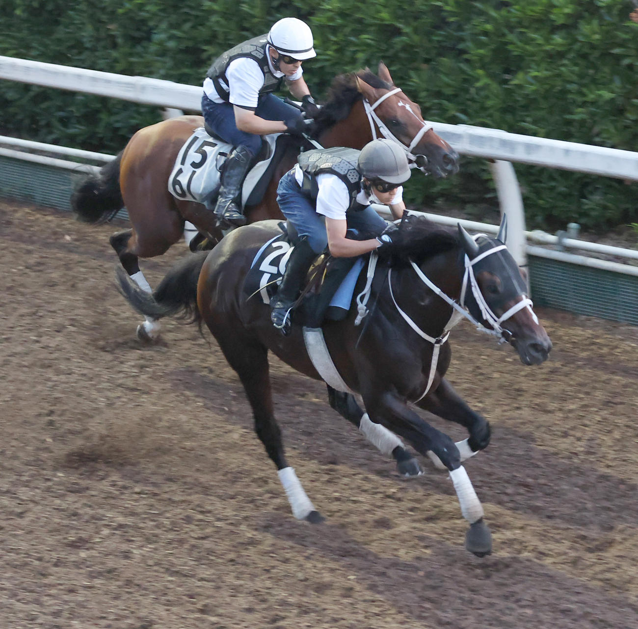 坂路にて併せ馬で追い切るハピ（手前）