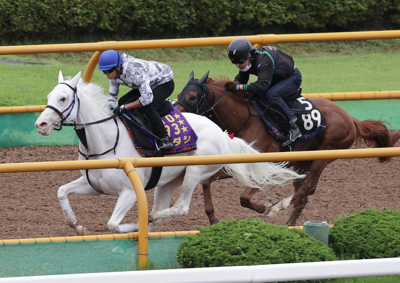 札幌記念出走予定のソダシ（左）は、函館ウッドチップコースで併せ馬で追い切られる