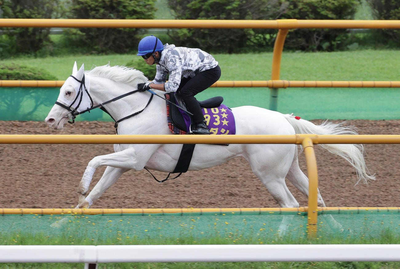 札幌記念出走予定のソダシは、函館ウッドチップコースで併せ馬で追い切られる