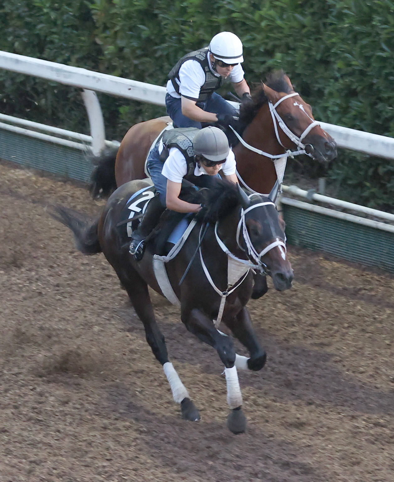 坂路にて併せ馬で追い切るハピ（手前）