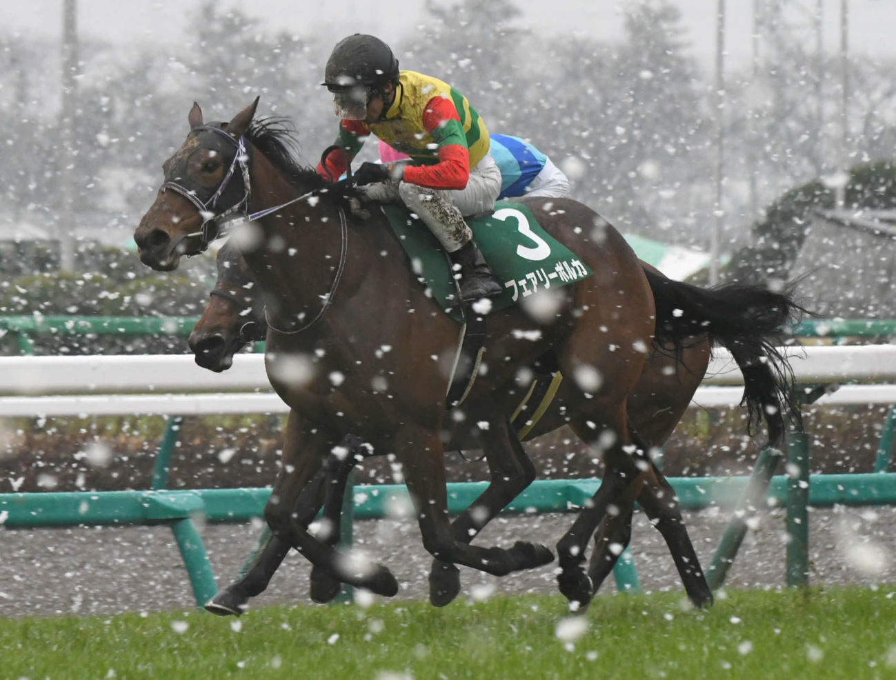 20年3月14日、中山牝馬Sを制したフェアリーポルカ