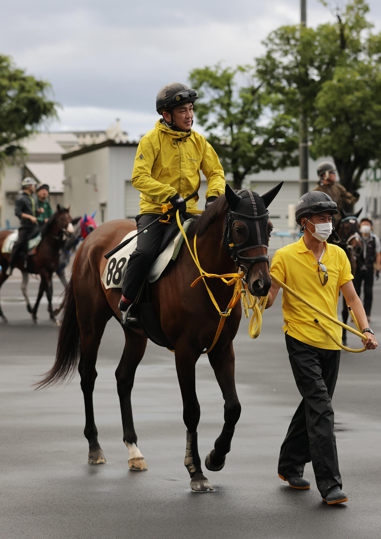 8月2日、エルムステークス制覇に向けて、函館競馬場で調整を積むアメリカンシード