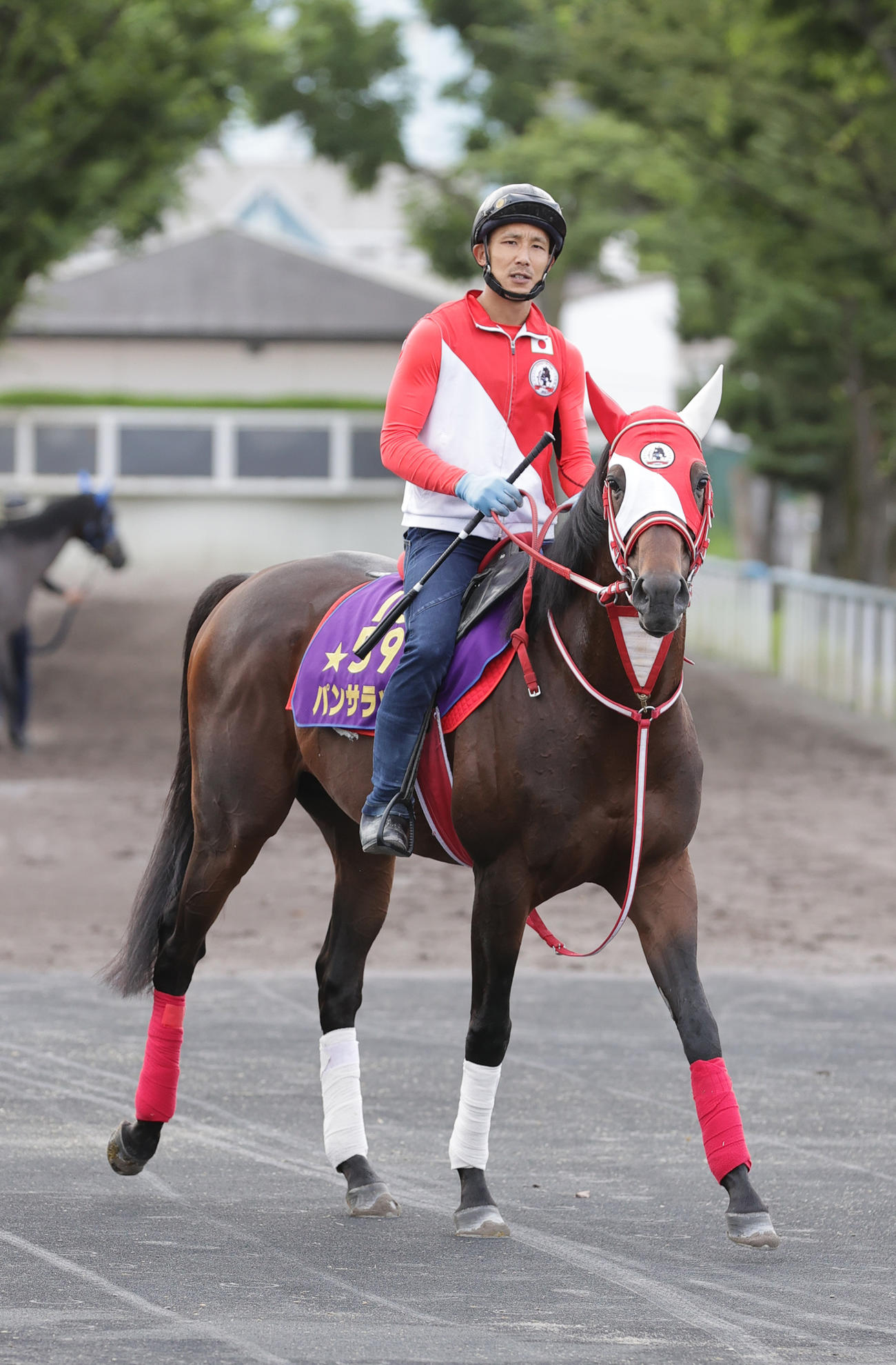 札幌記念出走に向け、函館競馬場入りしたパンサラッサ