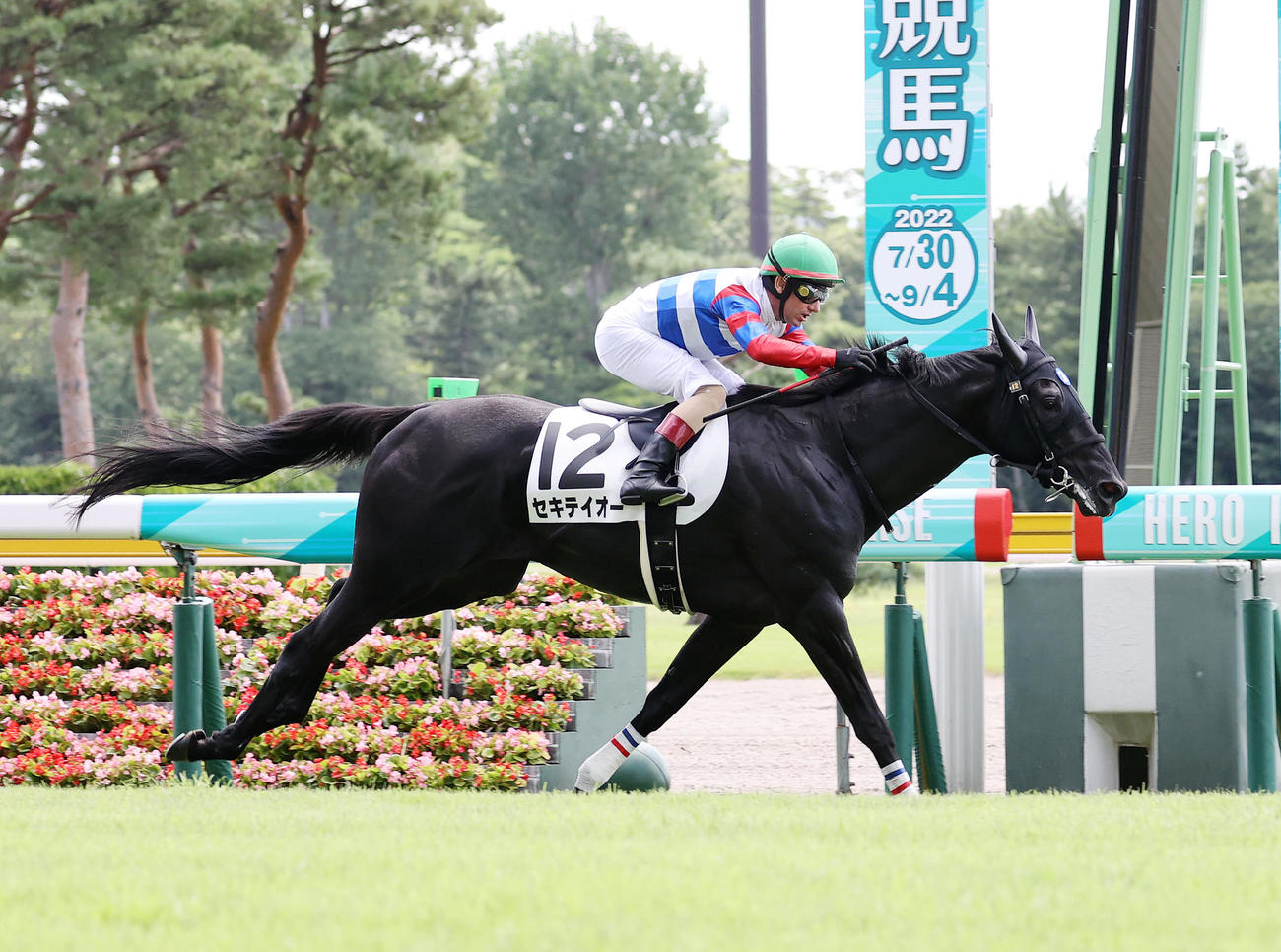 3歳未勝利を制したセキテイオーとM・デムーロ騎手（撮影・鈴木正人）