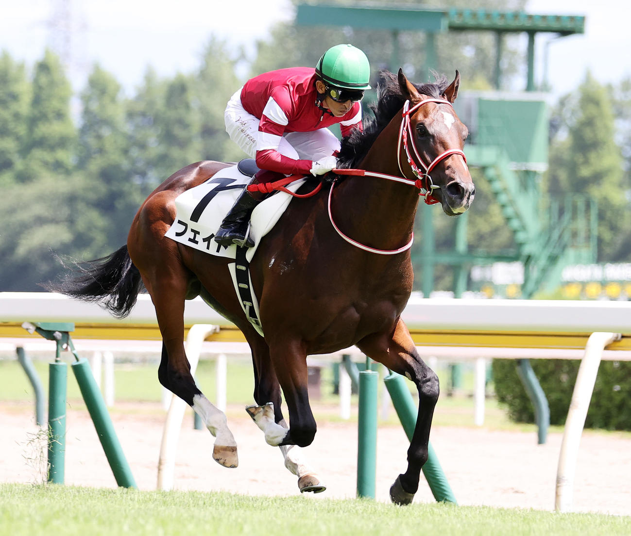 メイクデビュー新潟を制したフェイトと福永祐一騎手（撮影・鈴木正人）