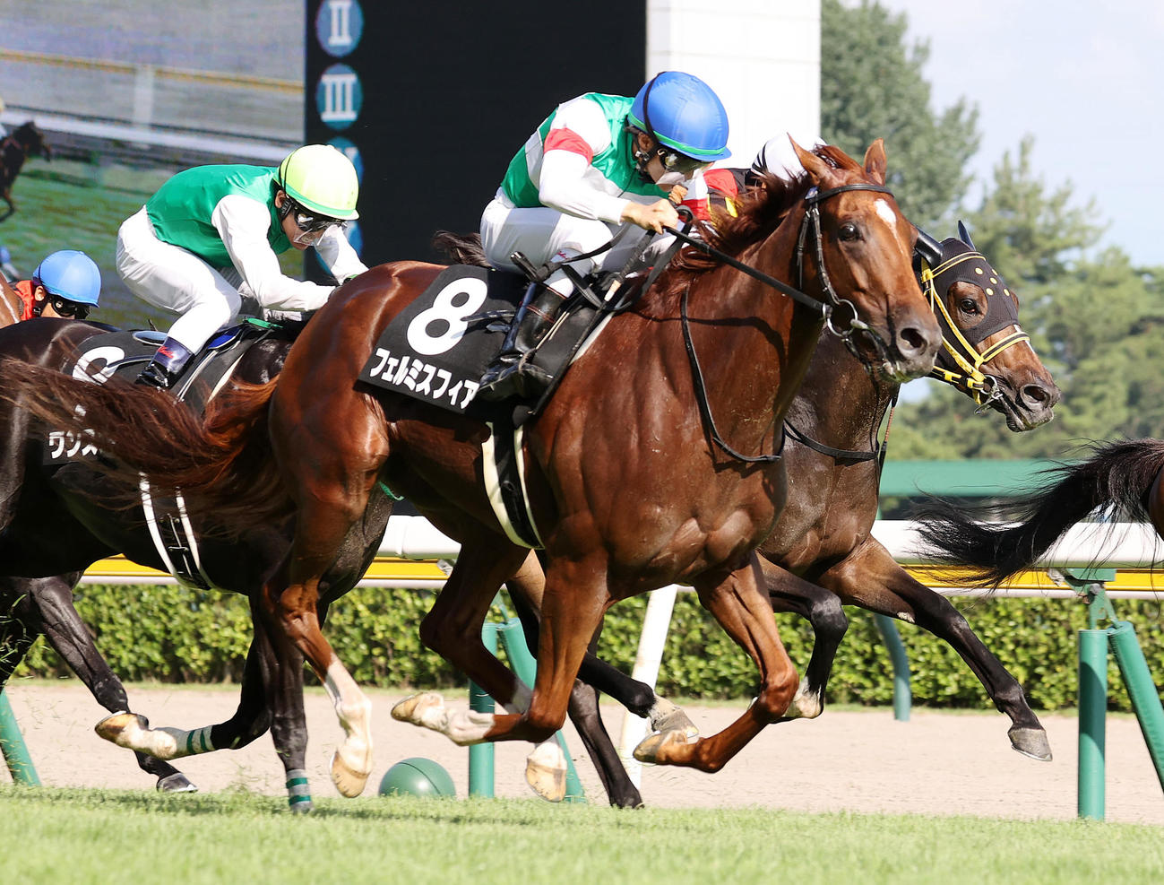 新潟日報賞を制したフェルミスフィアと杉原誠人騎手（手前）（撮影・鈴木正人）