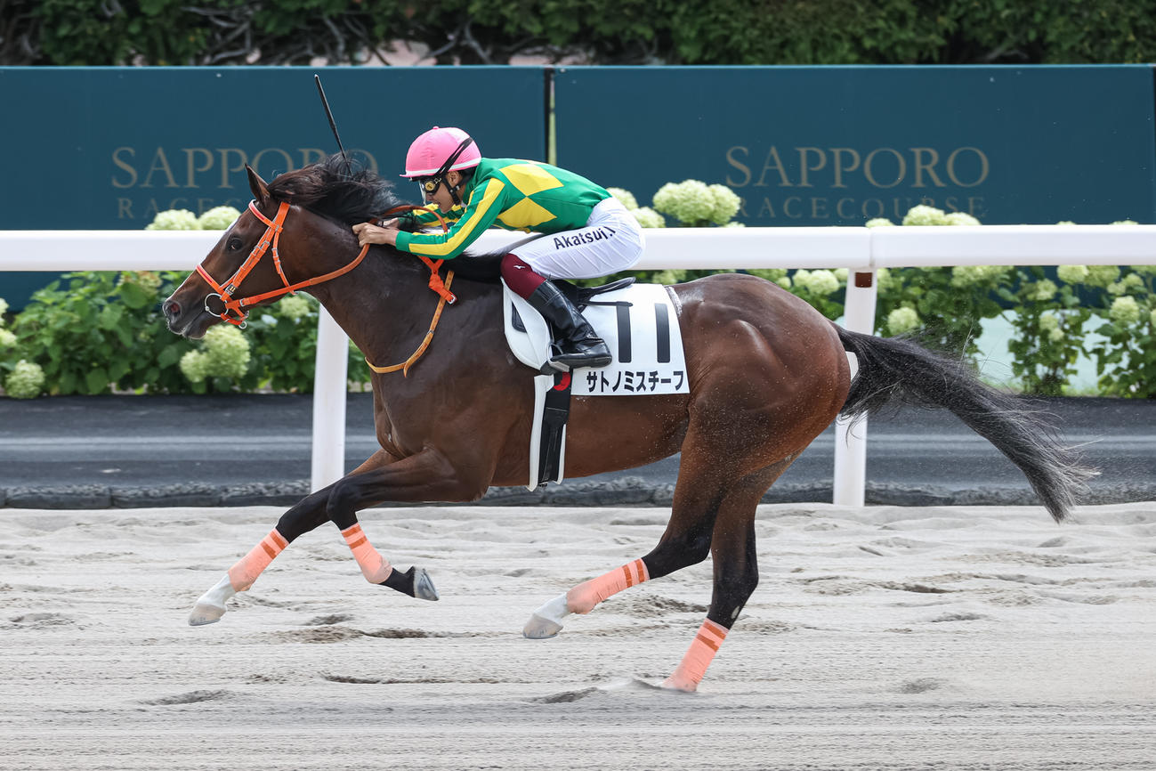 札幌1R、2歳未勝利を勝ち上がったサトノミスチーフ（撮影・村野早祐）