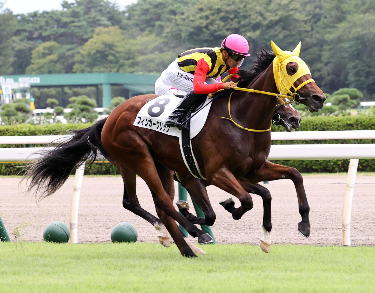 2歳未勝利を制したフィンガークリックと川田将雅騎手（撮影・鈴木正人）