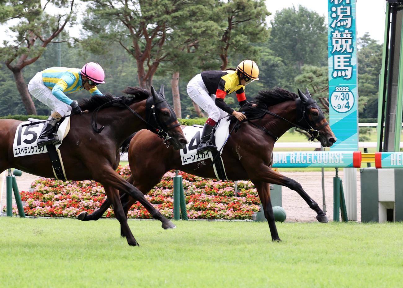 新潟5R、メイクデビュー新潟を制したムーンスカイ（右）と今村聖奈騎手（撮影・鈴木正人）