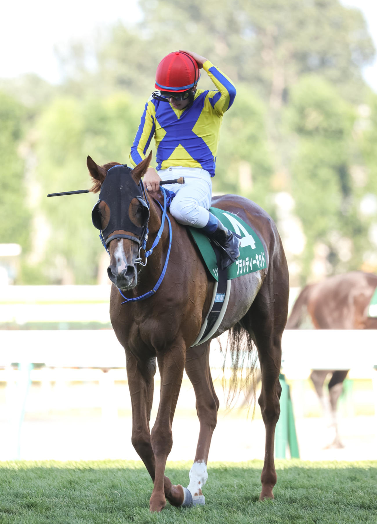 エルムS4着に敗れたブラッティーキッド（撮影・村野早祐）