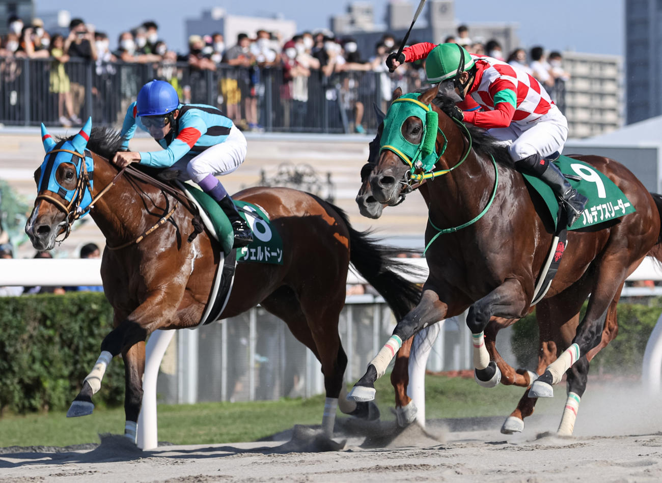 エルムS2着に敗れたウェルドーン（左）。右は勝ったフルデプスリーダー（撮影・村野早祐）