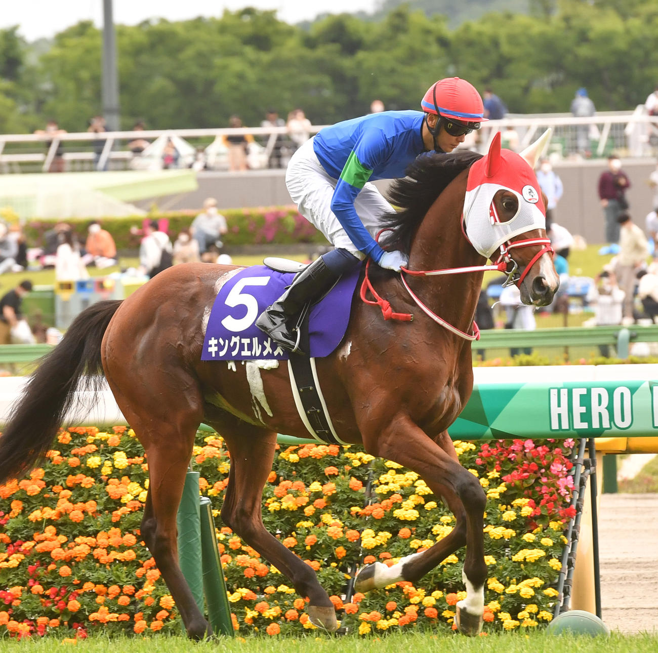 キングエルメスと坂井瑠星騎手（2022年5月撮影）