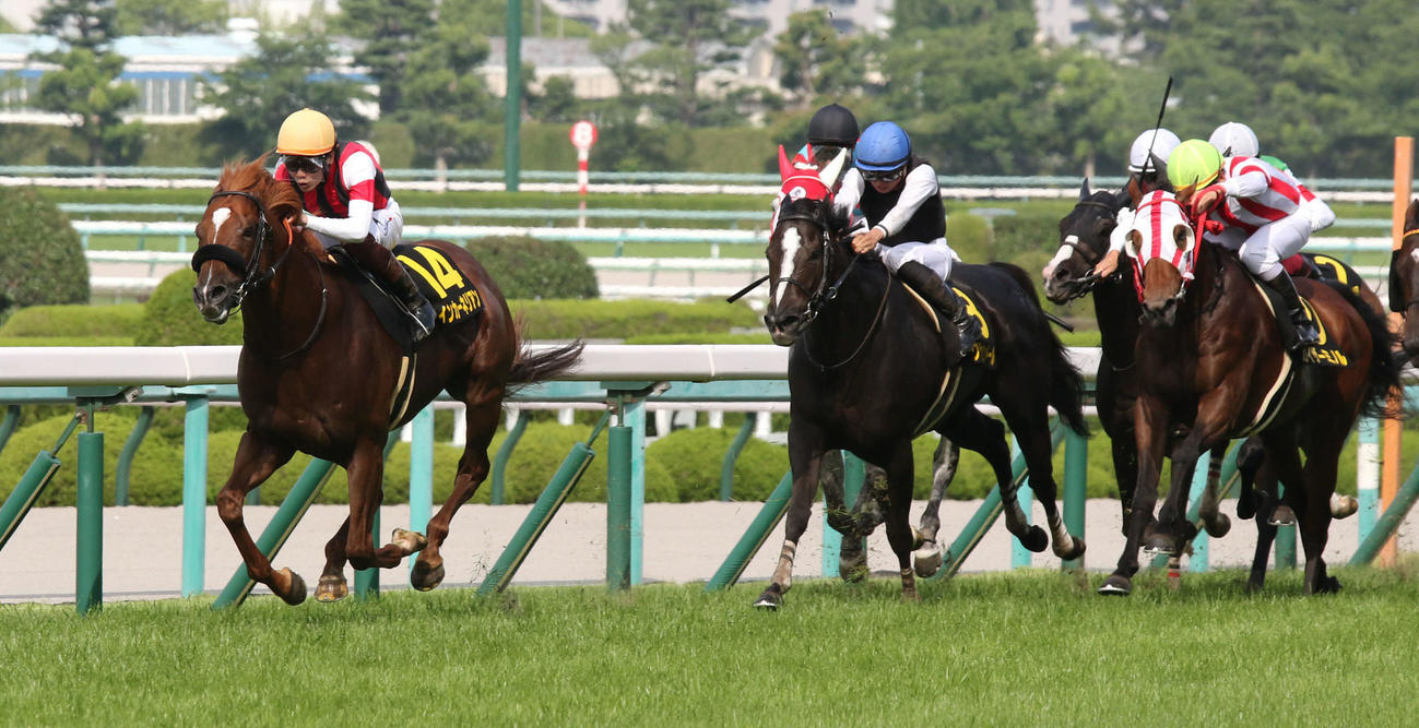米子Sを制し、リステッドレースを連勝したウインカーネリアン